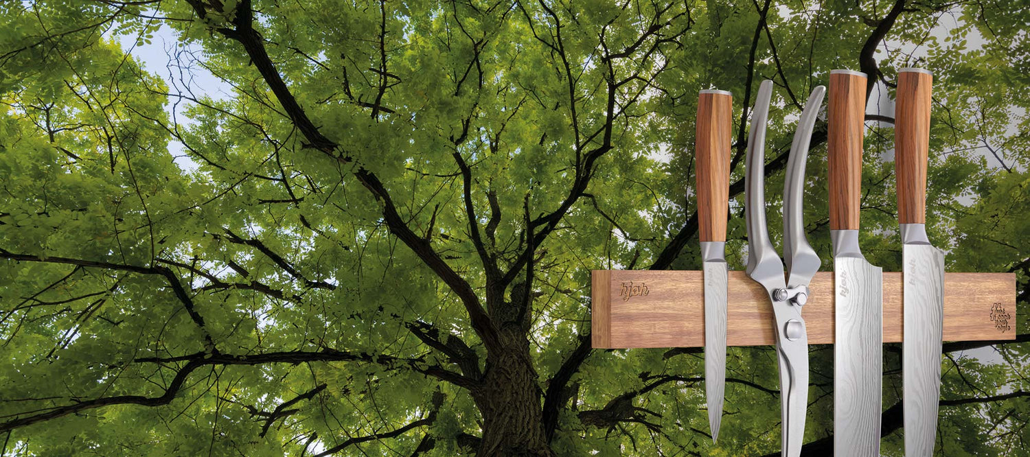 kjøk Messerleiste mit Küchenmessern und Geflügelschere aus Edelstahl und Holzgriff vor grünem Baum – natürliches Design trifft Qualität